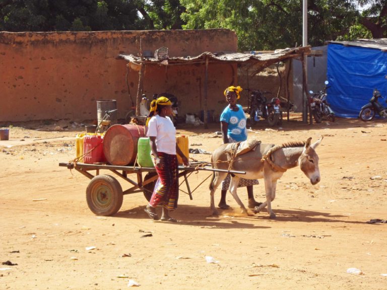 transport avec âne